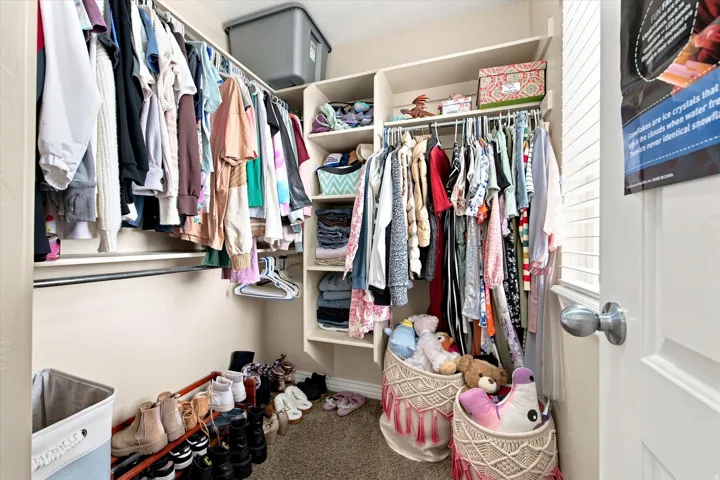 Custom closet system featuring hanging rods, built-in shelving, and carpet flooring