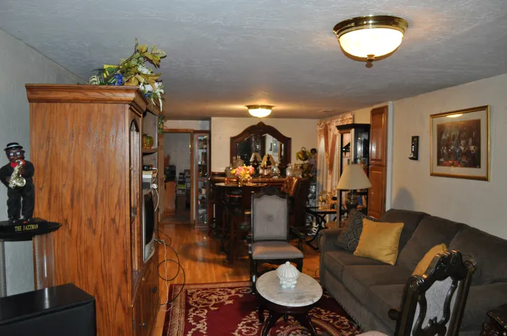 Wood-finish flooring throughout, complemented by a decorative rug