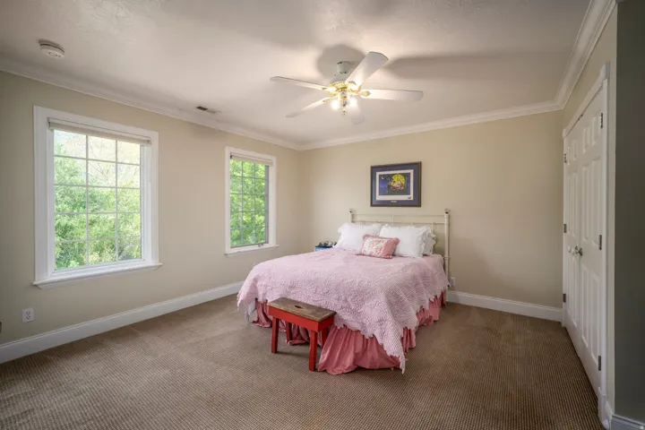 Room with two windows, crown molding, a ceiling fan, and carpeted flooring