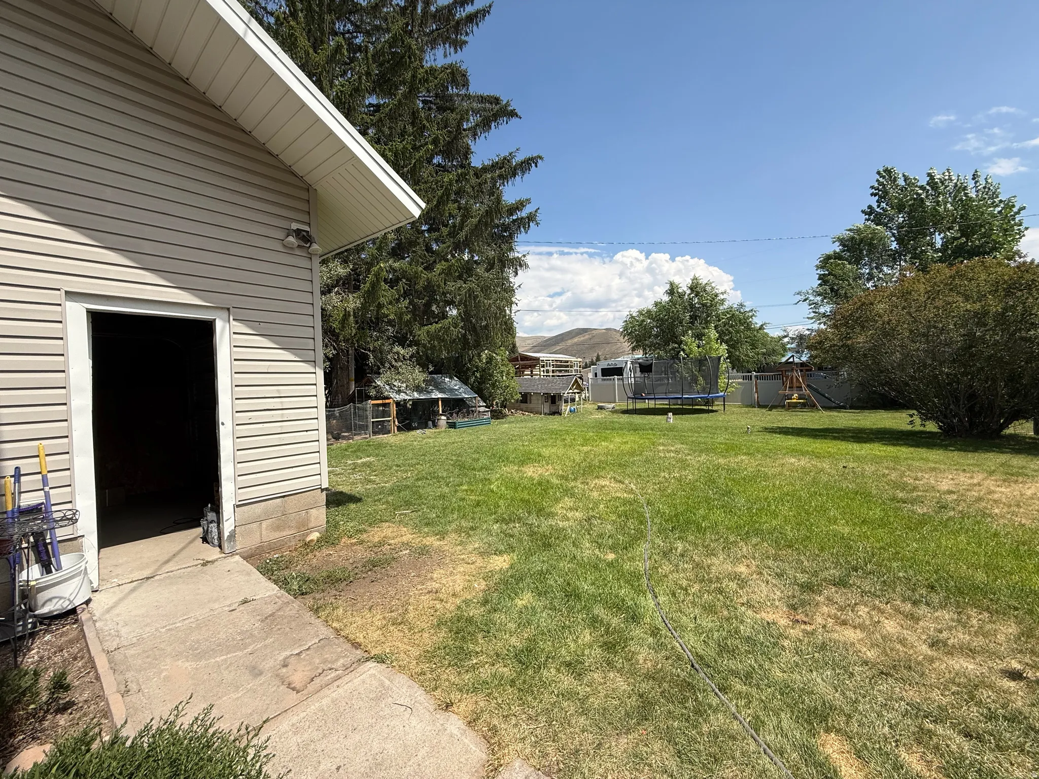 Expansive backyard with mature landscaping, including evergreen trees and established plantings