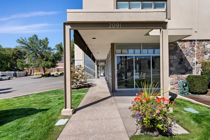 Modern architectural entry featuring a covered portico with clean lines, concrete walkway, and integrated planters with seasonal flowering shrubs