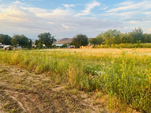 Expansive undeveloped land with natural vegetation