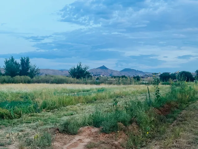 Expansive open field with natural grasses