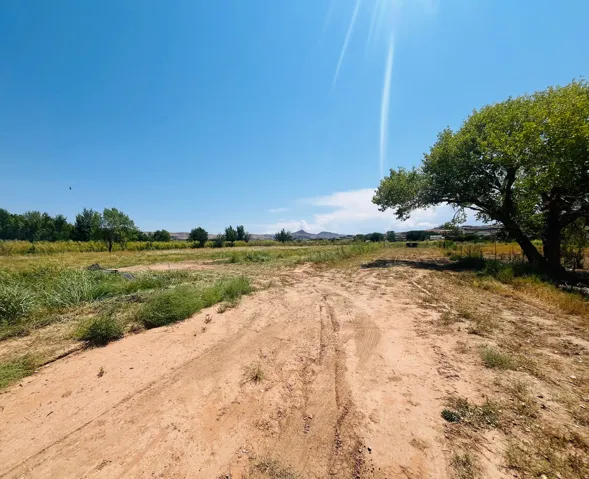 Expansive terrain featuring a dirt pathway, scattered green foliage, and distant mountainous topography