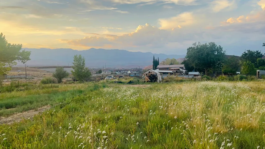 Expansive open field with natural grasses and distant mountain range