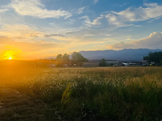 Scenic rural acreage with expansive fields, mature tree lines, and distant mountain backdrop
