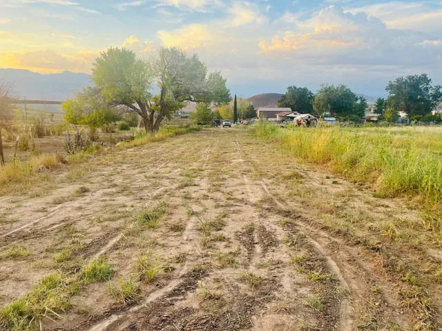Open land with a dirt path, mature trees, and distant mountains