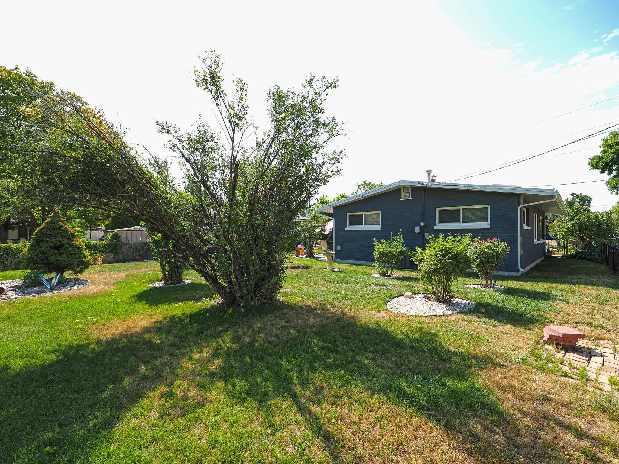 Exterior featuring dark blue siding, white window trim, and a white fascia