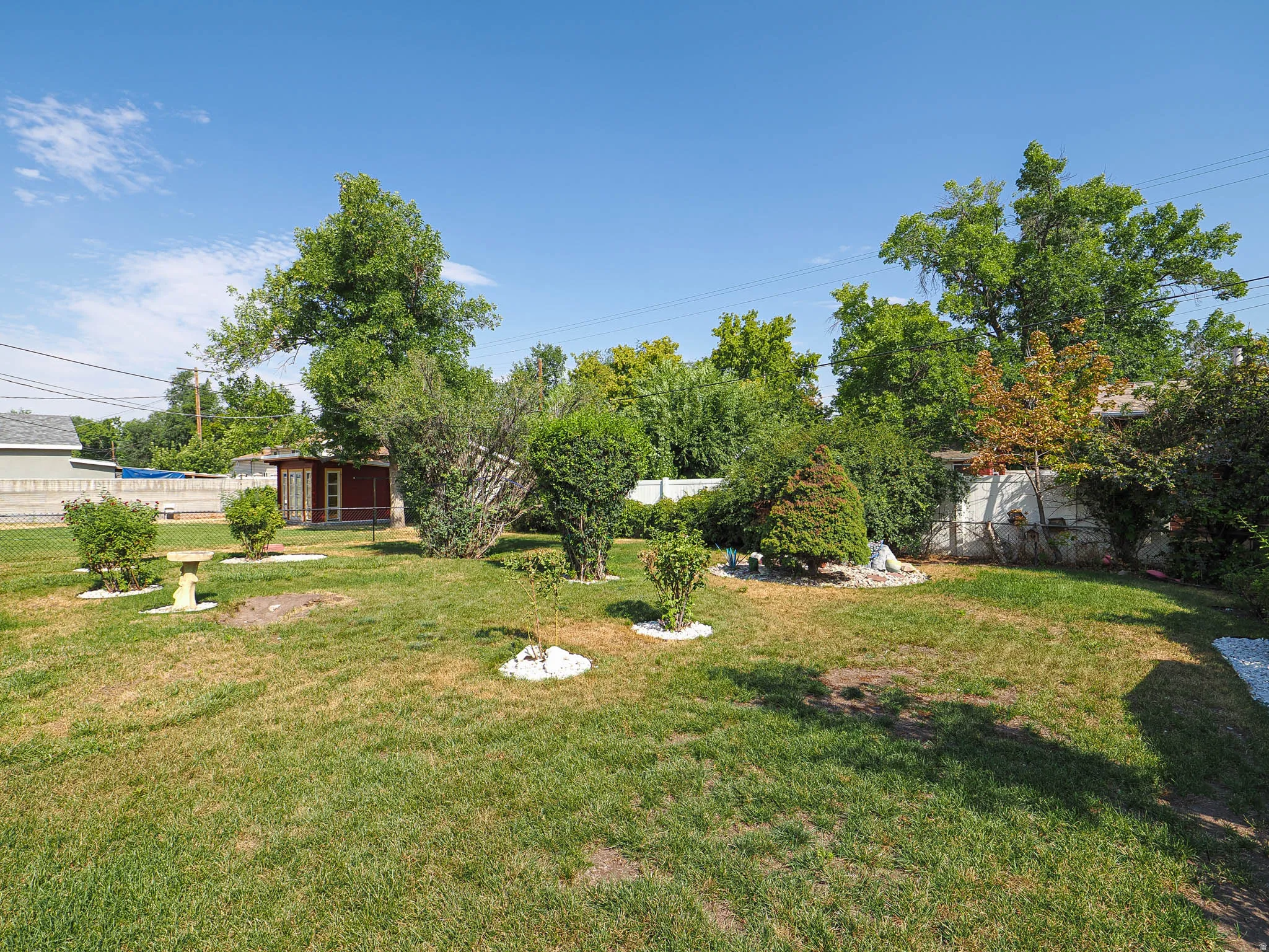 Expansive backyard with mature shade trees, manicured lawn, and established landscaping