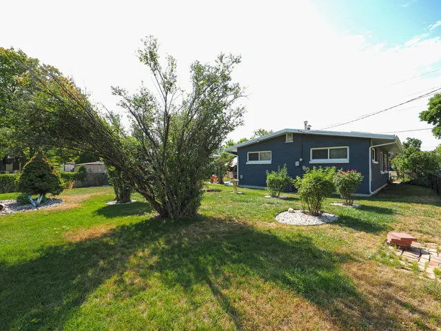 Exterior featuring dark blue siding, white window trim, and a white fascia