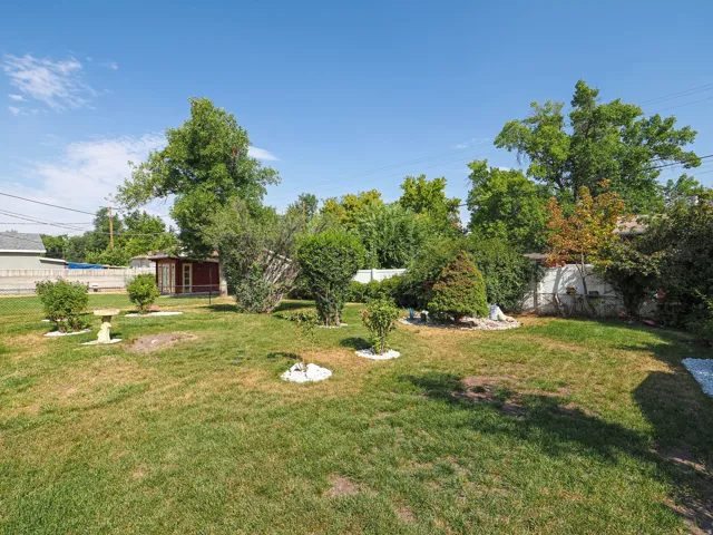 Expansive backyard with mature shade trees, manicured lawn, and established landscaping
