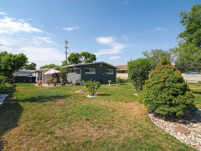 Spacious backyard with mature landscaping, established hedges, and manicured lawn