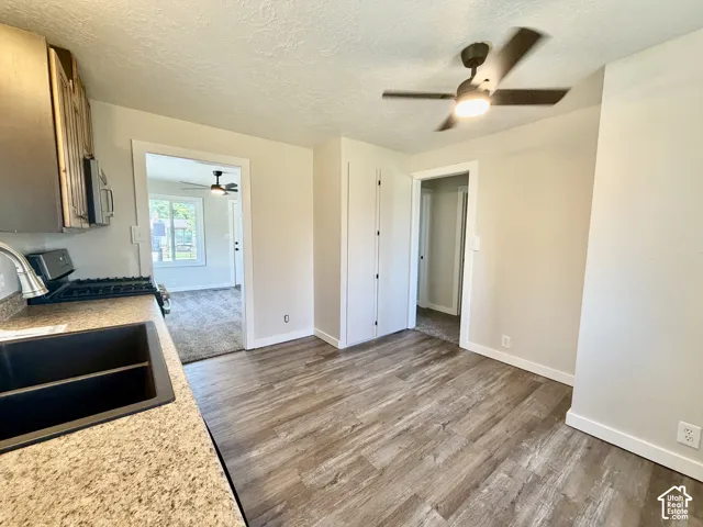 Wood-finish flooring with a ceiling fan, a double-basin black sink, and light-toned cabinetry
