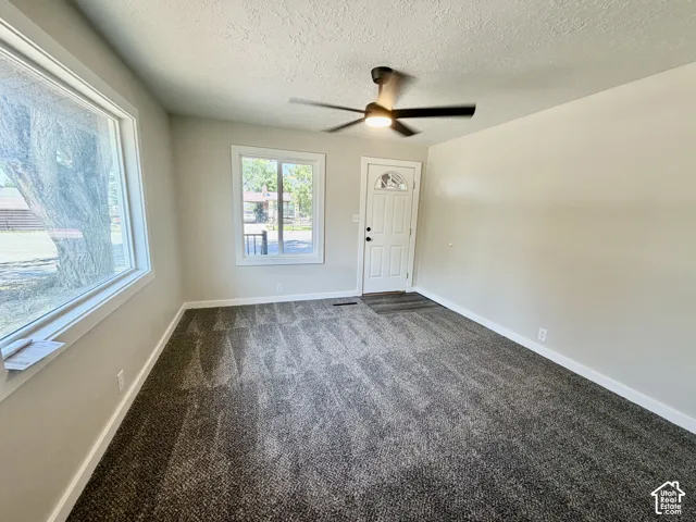 Neutral wall tones, contemporary ceiling fan, front entry door with decorative glass, and contrasting textured carpeting