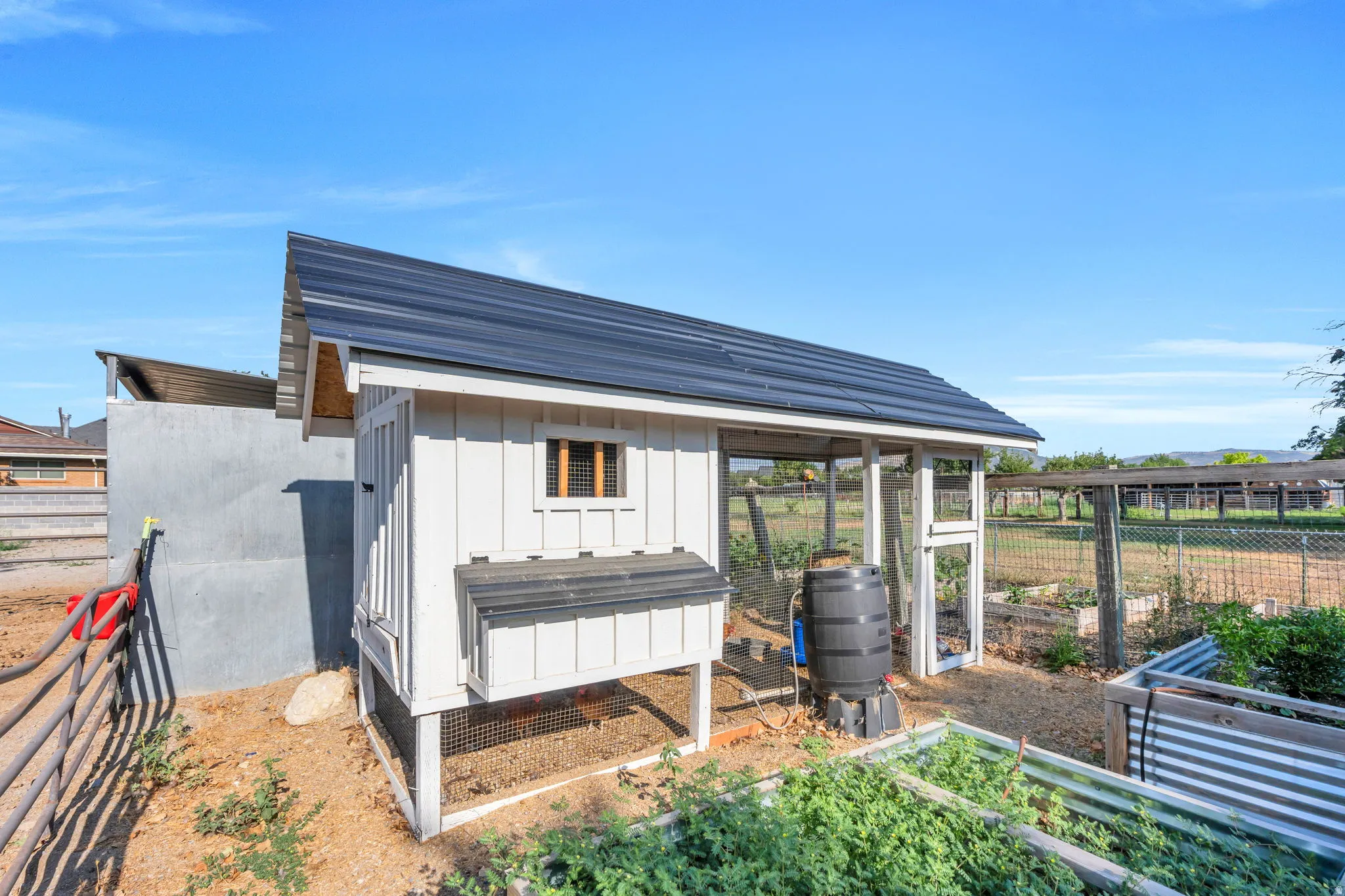 Chicke coop with six chickens