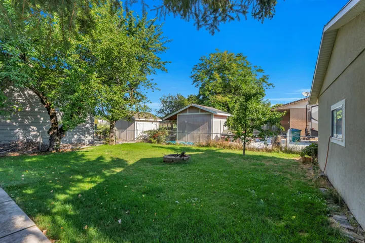 Expansive backyard featuring a mature tree canopy, lush manicured lawn, and multiple outbuildings