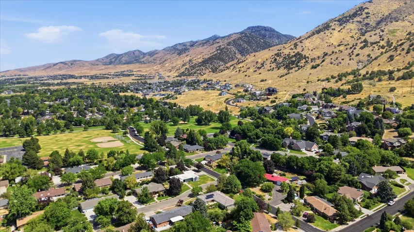 Lush, tree-lined residential areas with mountain backdrop