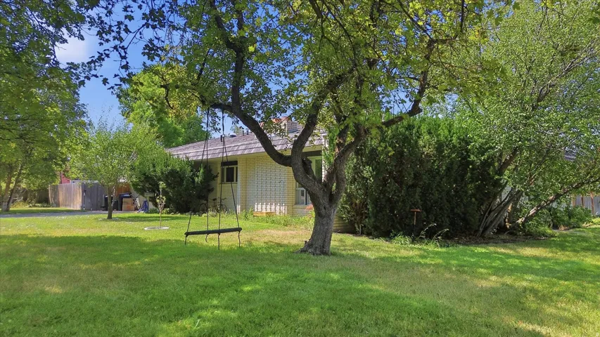 Expansive lawn with mature trees and established perimeter shrubs