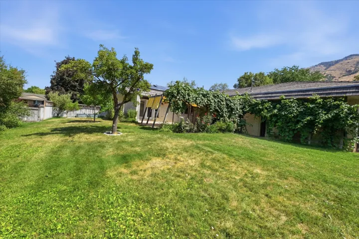 Expansive manicured lawn with mature shade trees and verdant grounds