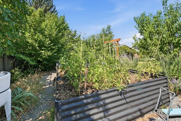 Raised garden bed with corrugated metal siding, lush green vegetation, and mature perimeter trees