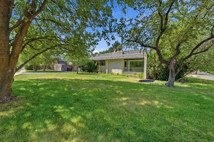 Expansive front lawn with mature trees providing shade