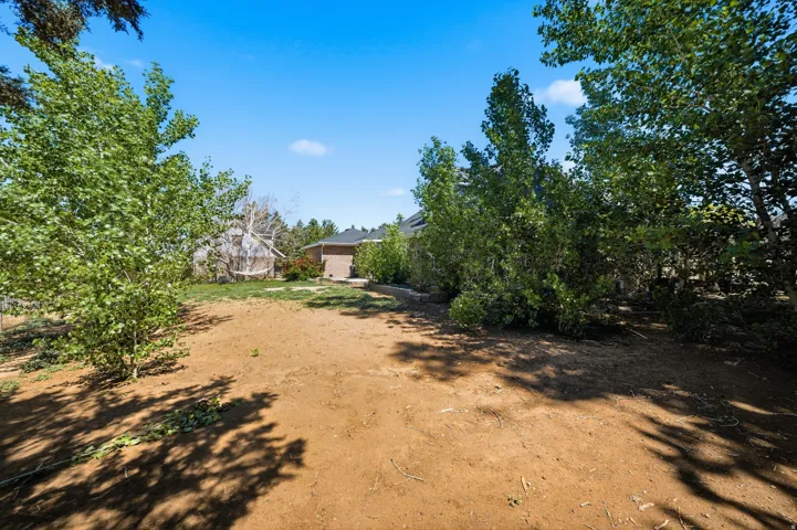Expansive grounds featuring mature tree coverage and natural woodland borders, with a cleared central area ideal for development or recreational use