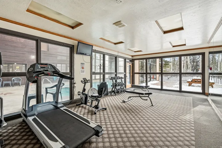 Fitness room featuring textured carpeting, multiple skylights, and expansive windows
