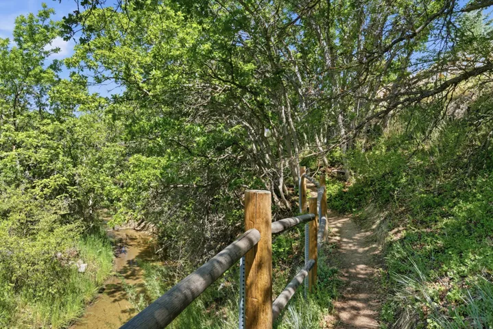 Wood split-rail fence alongside a natural path, bordered by lush green foliage and mature trees, with a shallow stream running through the landscape