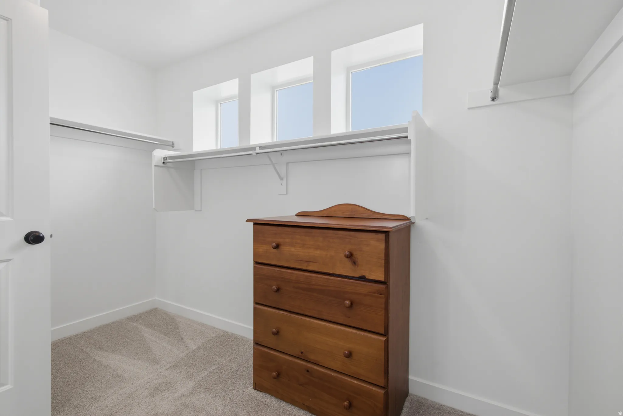 Spacious walk-in closet with built-in rod and shelving, carpeted flooring, and abundant natural light from multiple windows