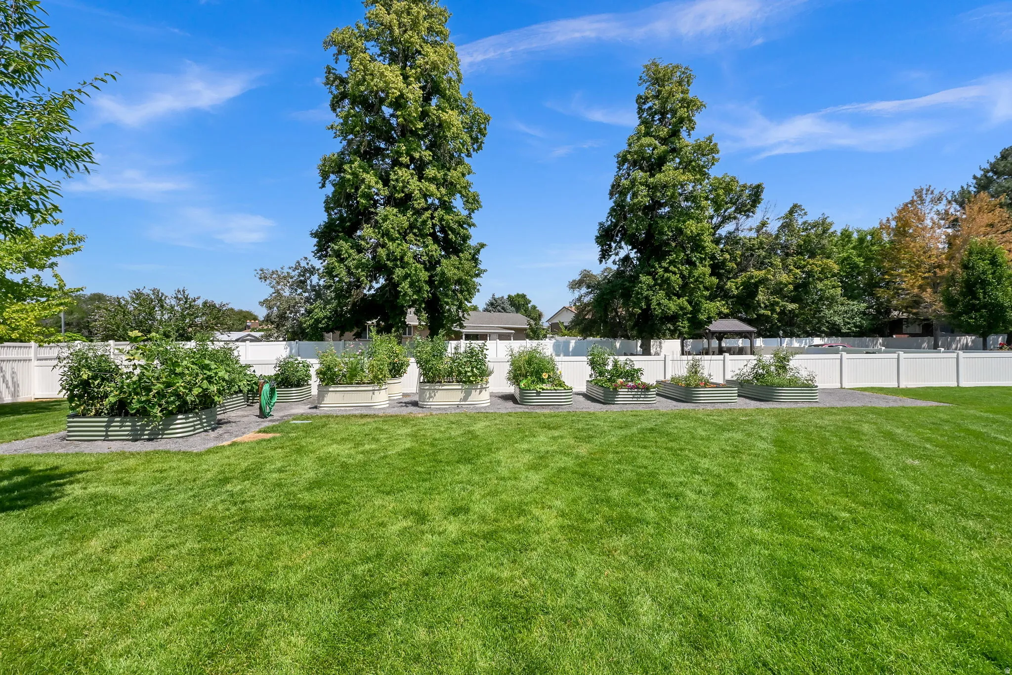 Expansive manicured lawn with mature trees providing natural screening and shade