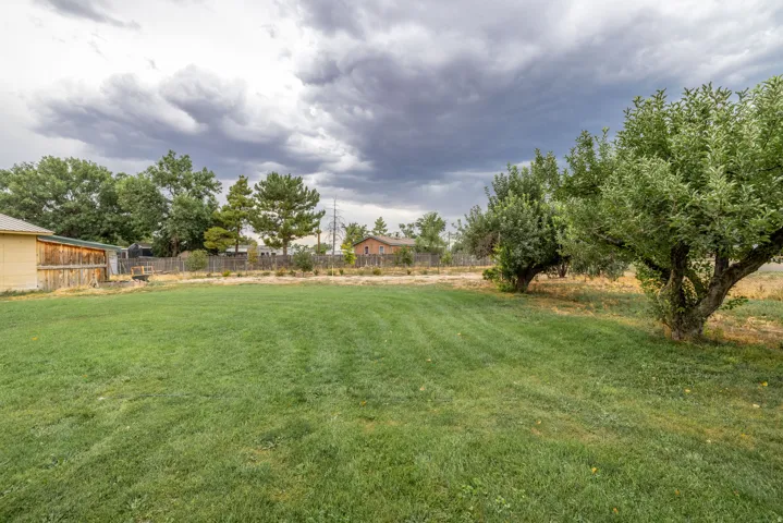 Expansive grounds featuring a manicured lawn, mature fruit trees, and rustic outbuildings