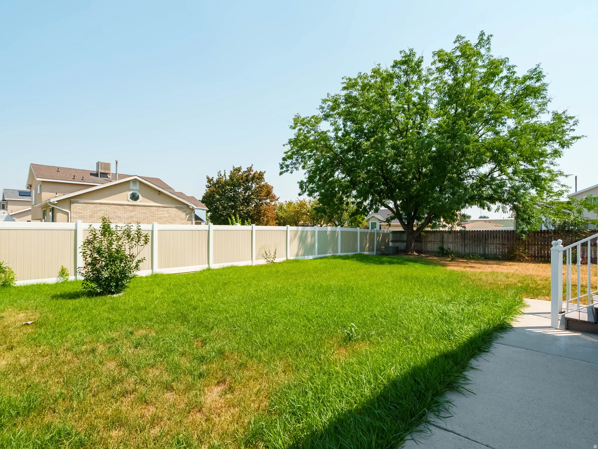 Expansive backyard featuring a mature shade tree, manicured lawn, and vinyl fencing