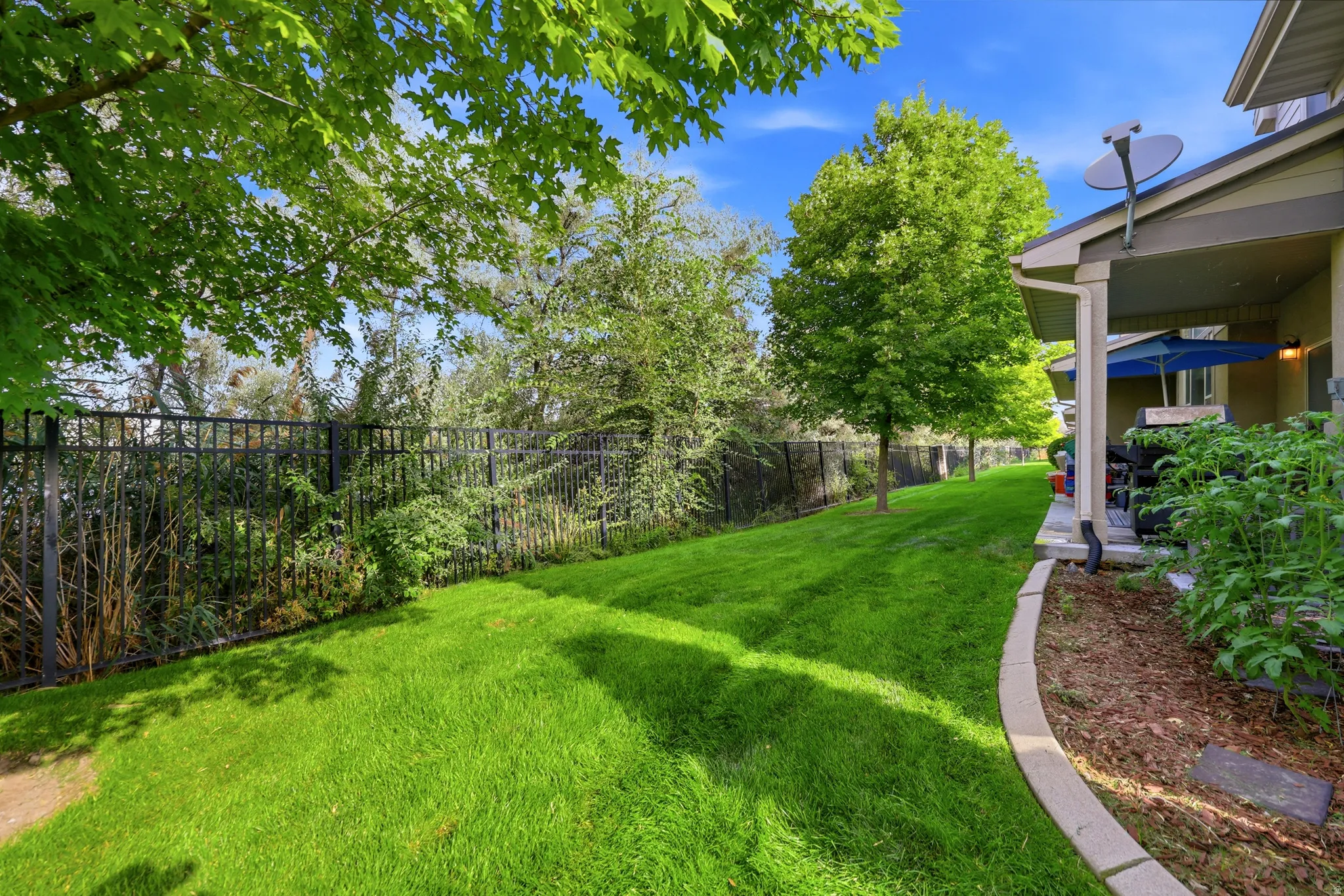 Expansive green lawn with mature trees and a black metal fence