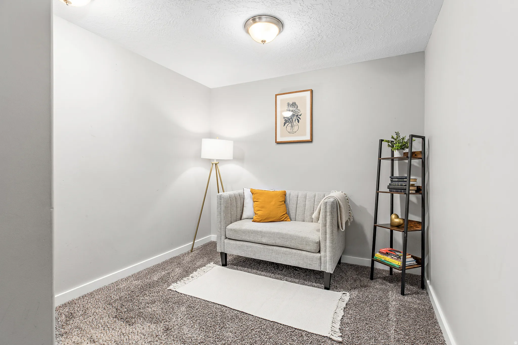 Textured gray carpeting, light gray wall paint, and overhead flush-mount lighting