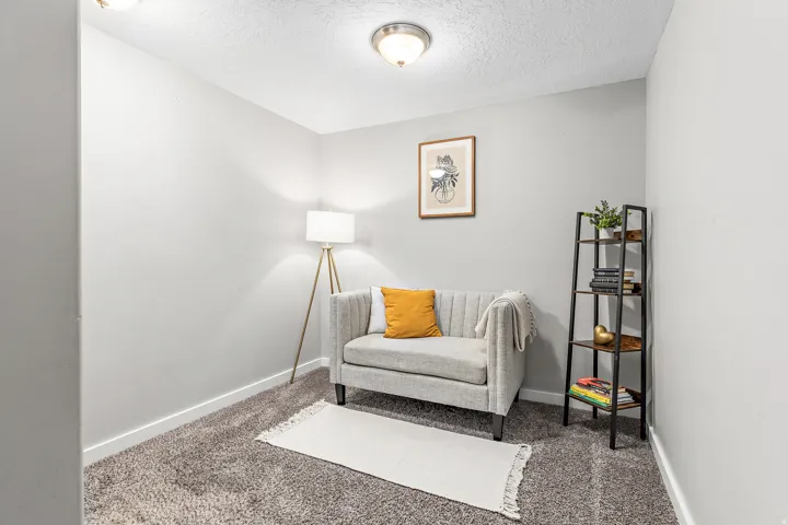 Textured gray carpeting, light gray wall paint, and overhead flush-mount lighting