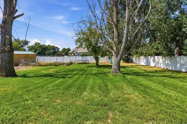 Expansive grassy yard with mature trees, fully enclosed by a white privacy fence