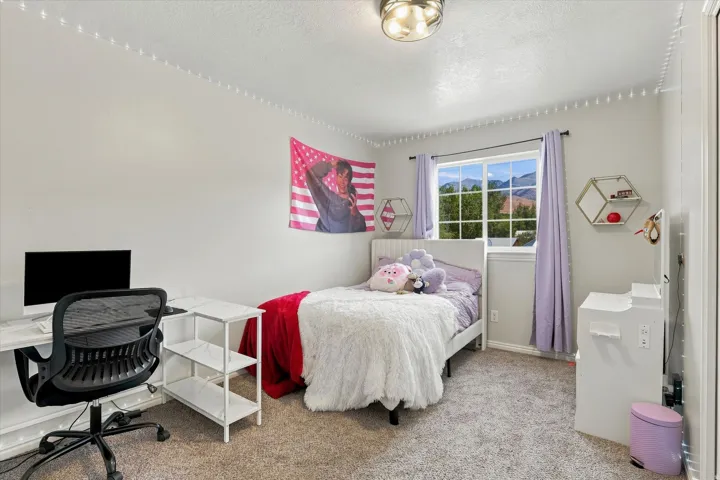 Carpeted flooring, window with natural light, ceiling-mounted light fixture, built-in shelving, white trim