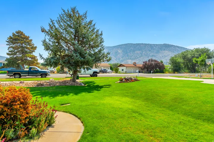 Expansive front lawn with mature trees and landscaping