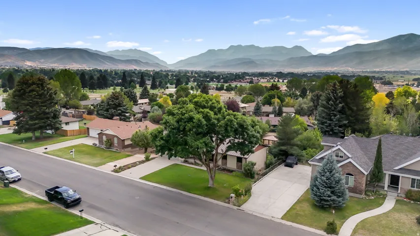 Residential street with multiple properties featuring mature landscaping, paved driveways, and mountain scenery