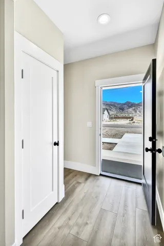 Light wood-finish flooring with white trim