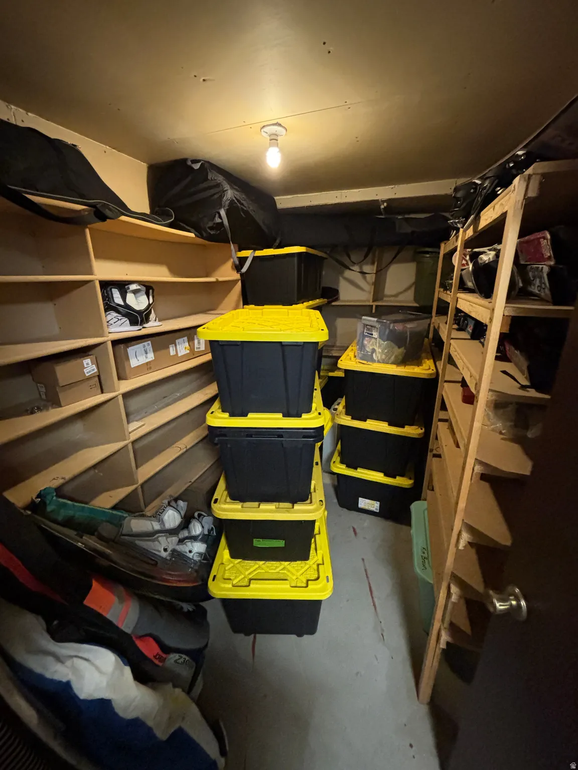 Built-in shelving units, overhead lighting fixture
