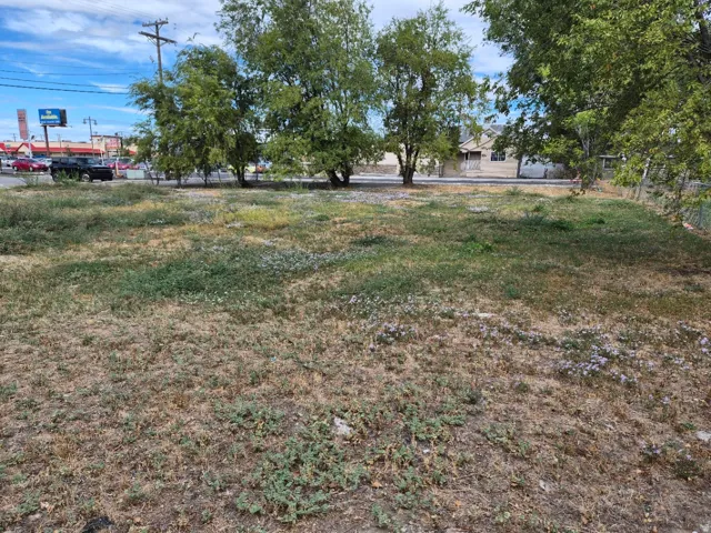 Expansive lot with varied ground cover and mature trees along the perimeter