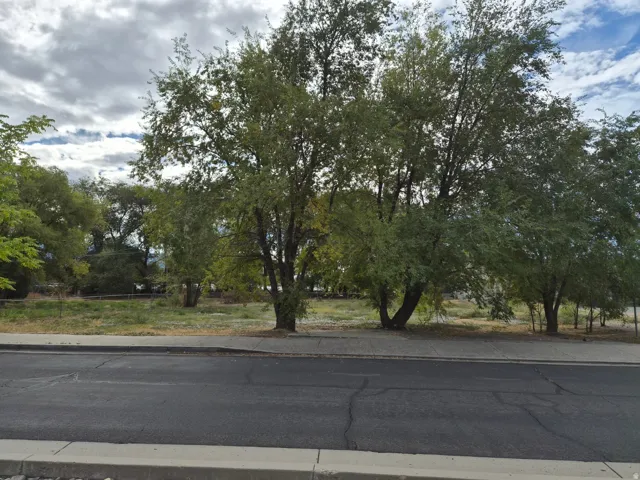 Street-level parcel featuring mature trees, undeveloped land, a paved road, and a concrete sidewalk