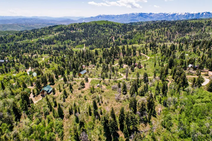 Mountainous landscape with abundant evergreen and deciduous trees