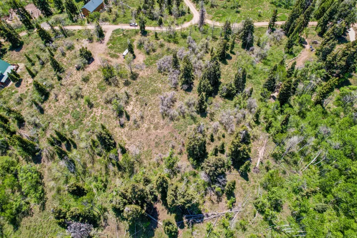 Expansive undeveloped land featuring diverse vegetation and scattered evergreen trees