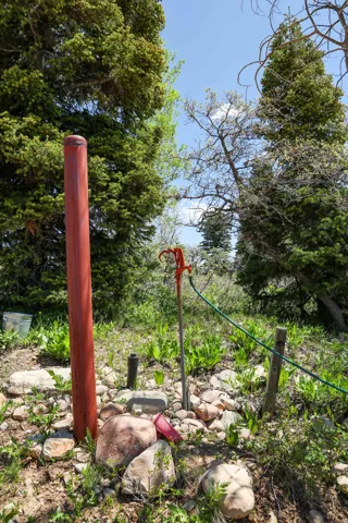 Outdoor spigot with a hose connection, surrounded by natural ground cover and rocks