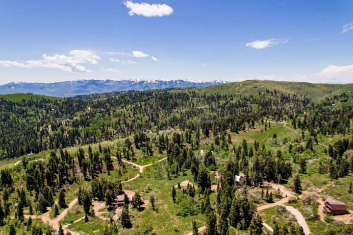 Expansive mountain landscape featuring dense evergreen and deciduous trees, multiple dirt pathways, and distant snow-capped mountains