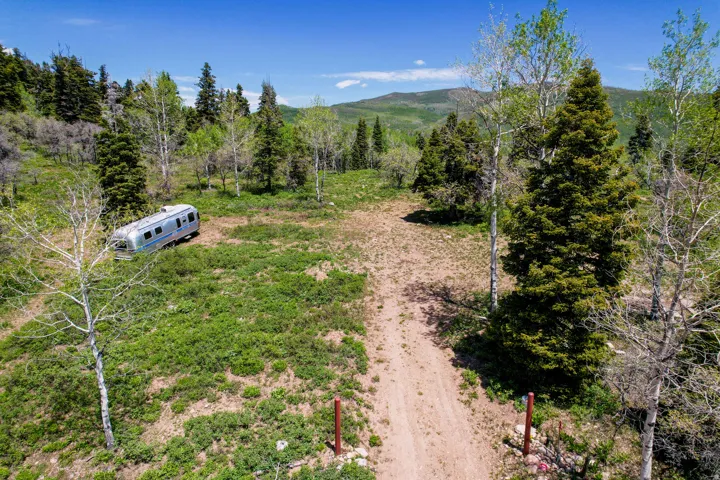 Expansive natural landscape featuring a dirt path, mature trees, and mountainous terrain