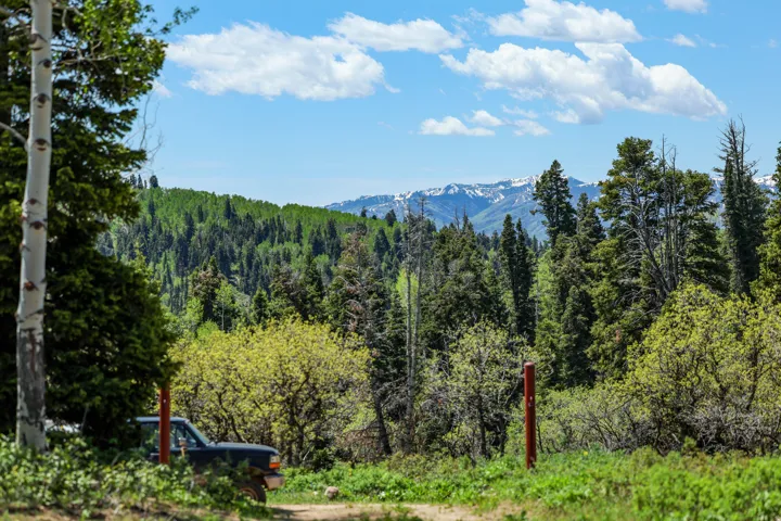 Lush, forested landscape with distant snow-capped mountains