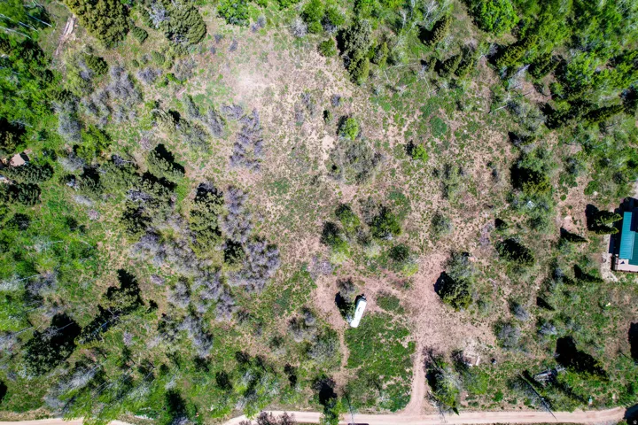 Expansive property featuring diverse vegetation, a visible structure with a green roof, and a visible unpaved road